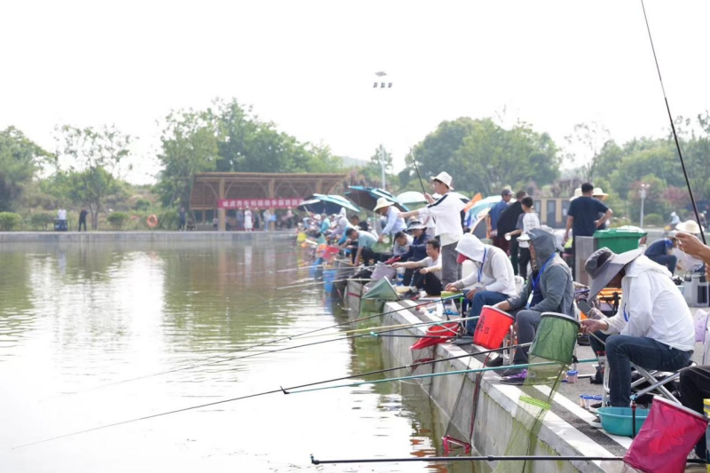 图片2(1).png 图片2(1).png