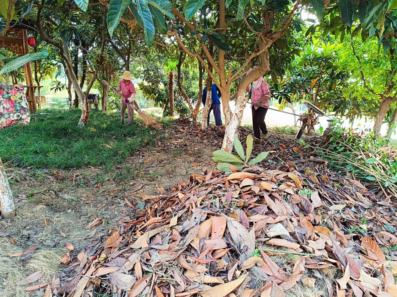 图片2.png 图片2.png