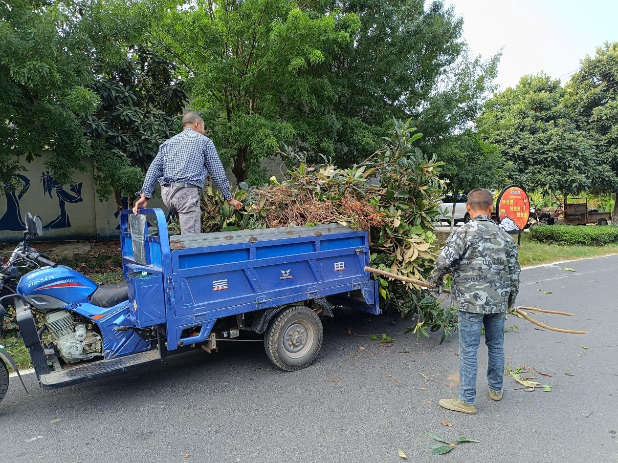 图片3.png 图片3.png